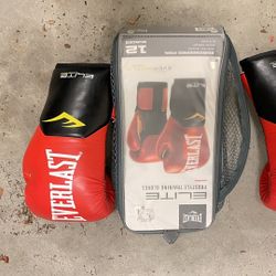 Everlast 12oz Boxing Gloves