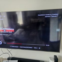 65 Inch TV 