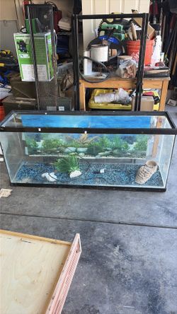 Fish tank