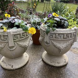 Poted Urns