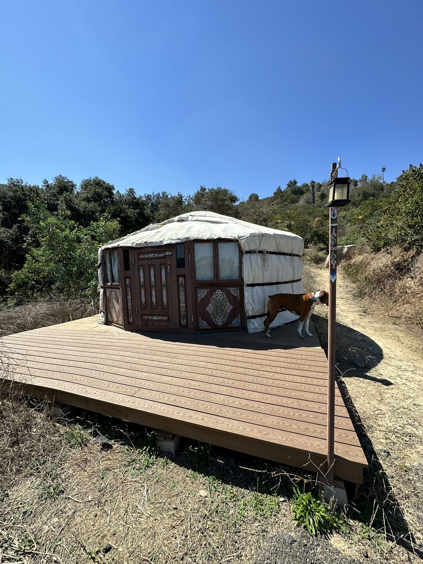 Mongolian Yurts (5 For Sale)