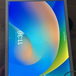 iPad Pro
