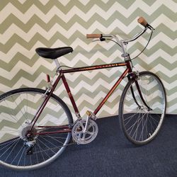 Peugeot Carbolite 103 Bike