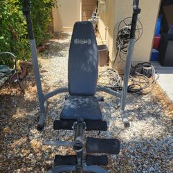 Bench Press