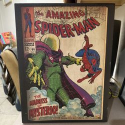 Spider-Man Canvas 