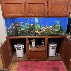 100g Sea Clear Acrylic Tank/stand With Top