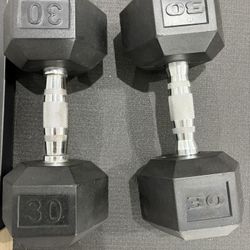 30 lb Dumbbells 