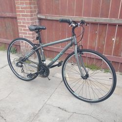Trail Mountain Bike