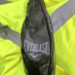 Everlast Leather Elite Speed Bag