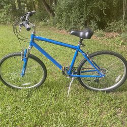 Nishiki Men's Tamarack Comfort Bike