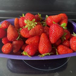 STRAWBERRY PLANTS ORGANIC SIMPLY THE BEST TASTING MOST PRODUCT WE HAVE GROWN