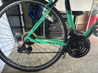 Bicycle For Adults