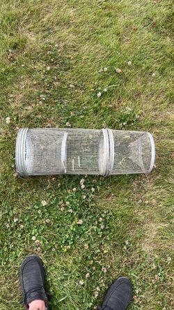 Minnow/crawdad trap
