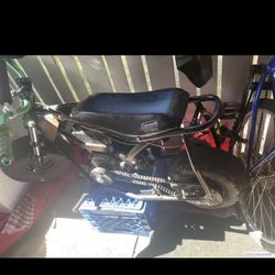 Mini Bike 