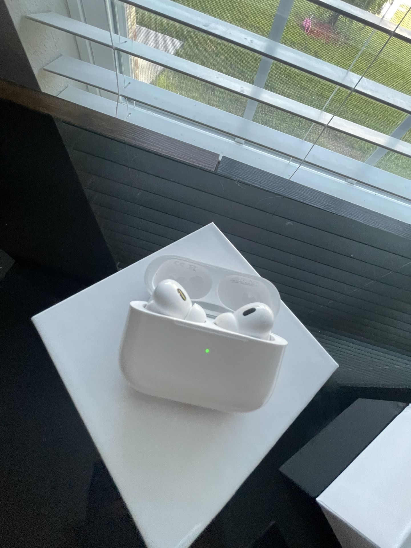 Apple Earbuds