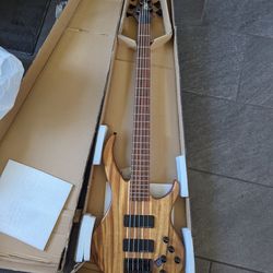 IYV 5 String  Bass Solid Body Electric Guitar