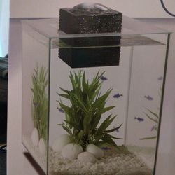 5 Gallon Clear Glass Aquarium 