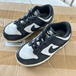 Nike Kids Dunk size 10