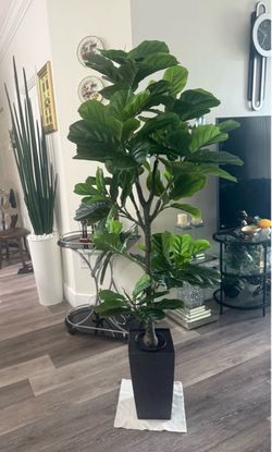 Pretty Artificial plant Fig tree 6 ft tall with planter ! Brand New