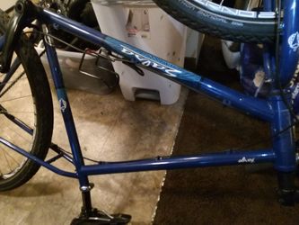 Salsa fargo bike