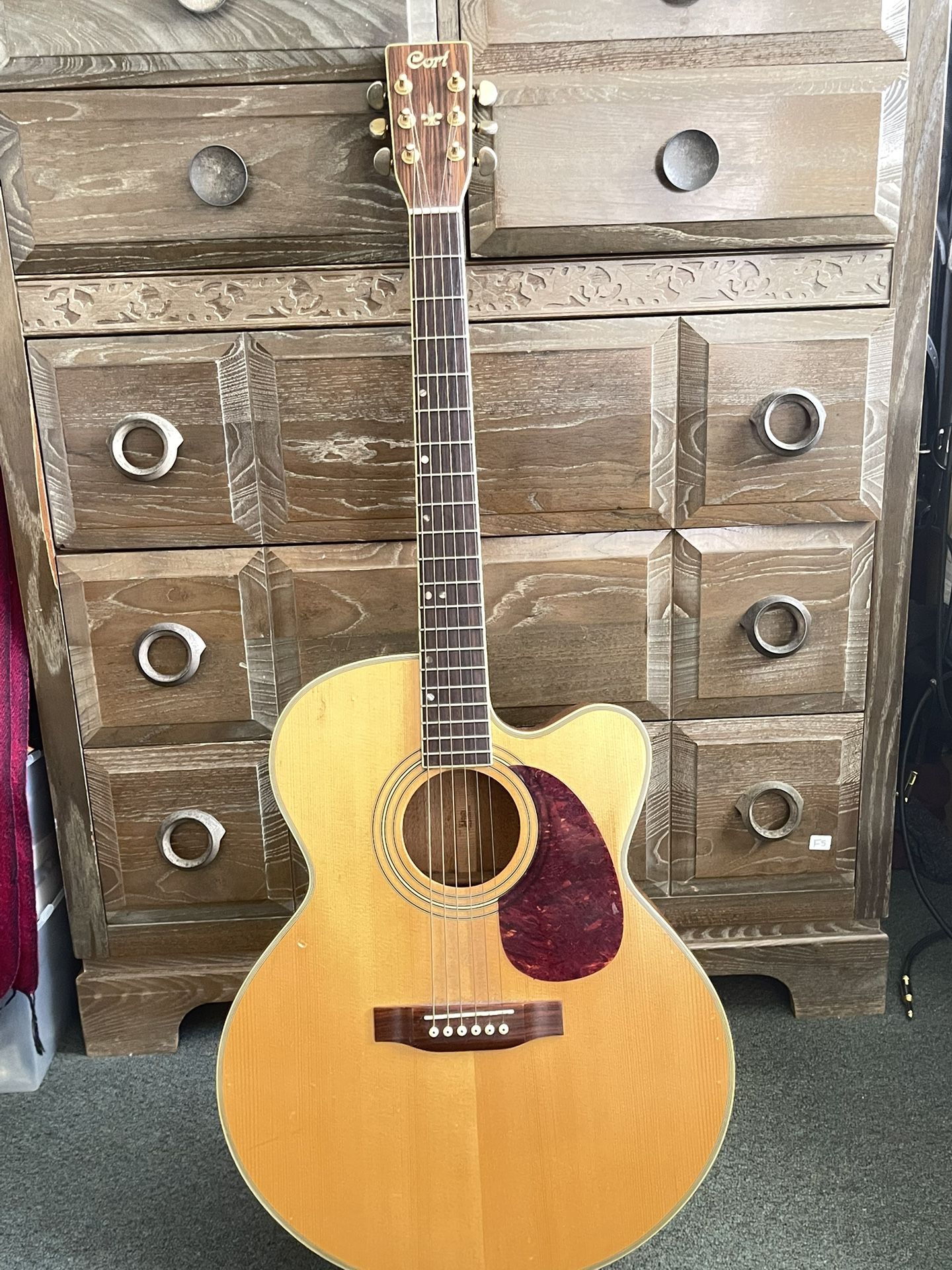 Acoustic Electric Guitar