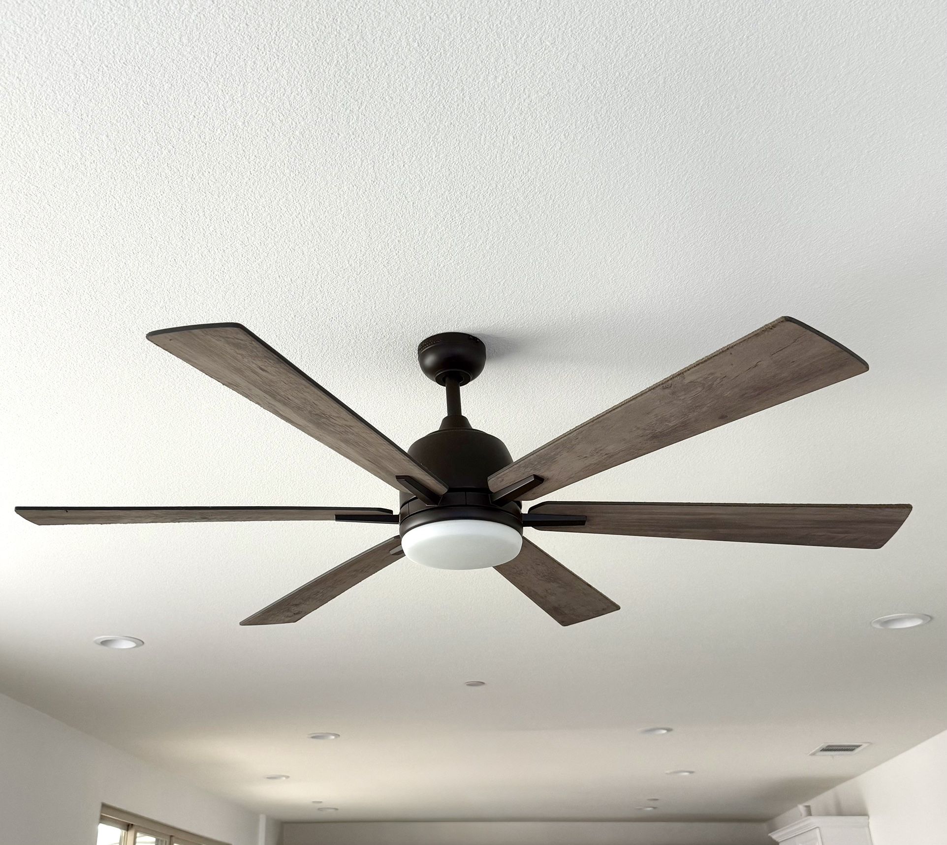Ceiling Fan with Lights