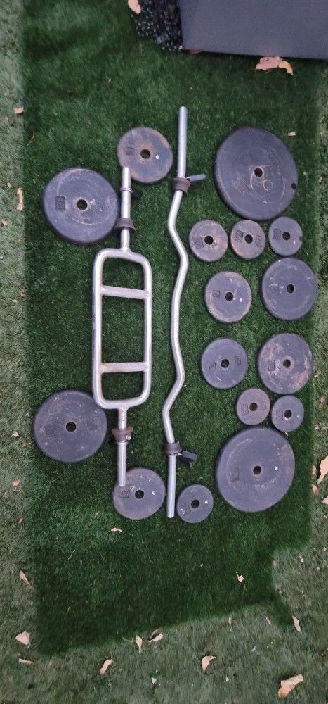 Triceps Bar And Curl Bar Weight Lifting