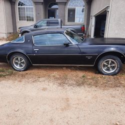 1977 Pontiac Firebird