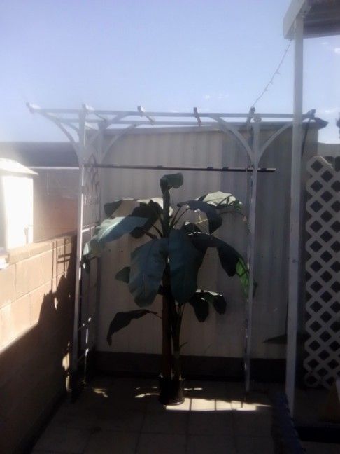 Fake Plant And Metal Stand