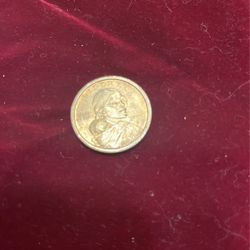 Rare One Dollar Coin