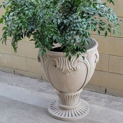 80 Planter Pot Plant 