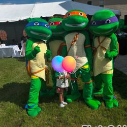 Ninja Turtles For Sale 