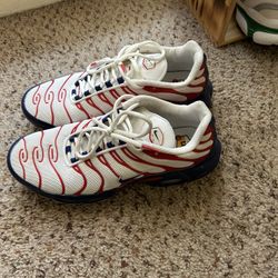 Tenis Nike Air Max Talla 10