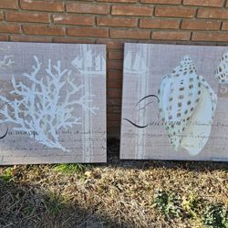 Shell Wall Art 