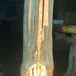 8' cactus🌵 Up Light 