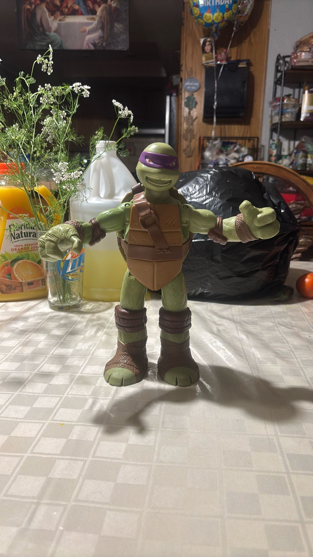 Ninja Turtle