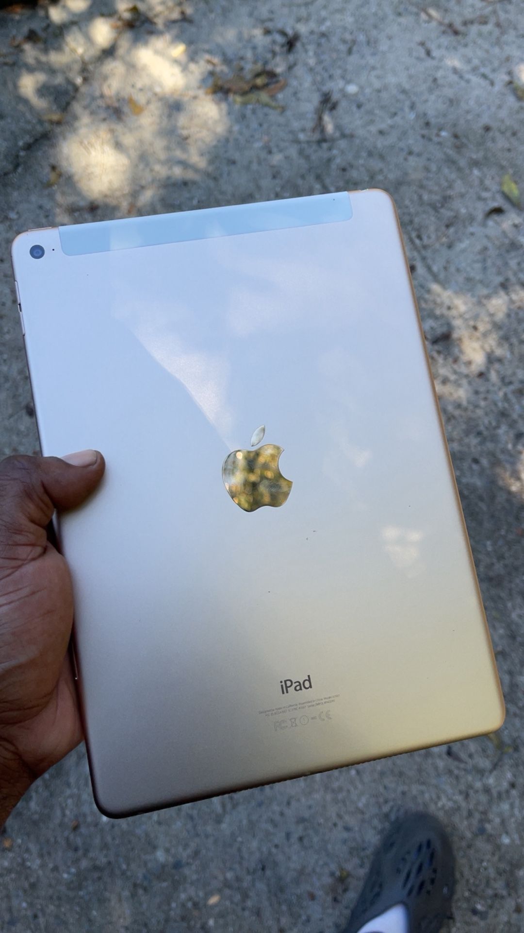 iPad Air 2
