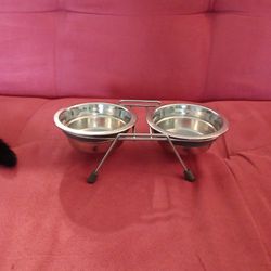 Animal Food Dish