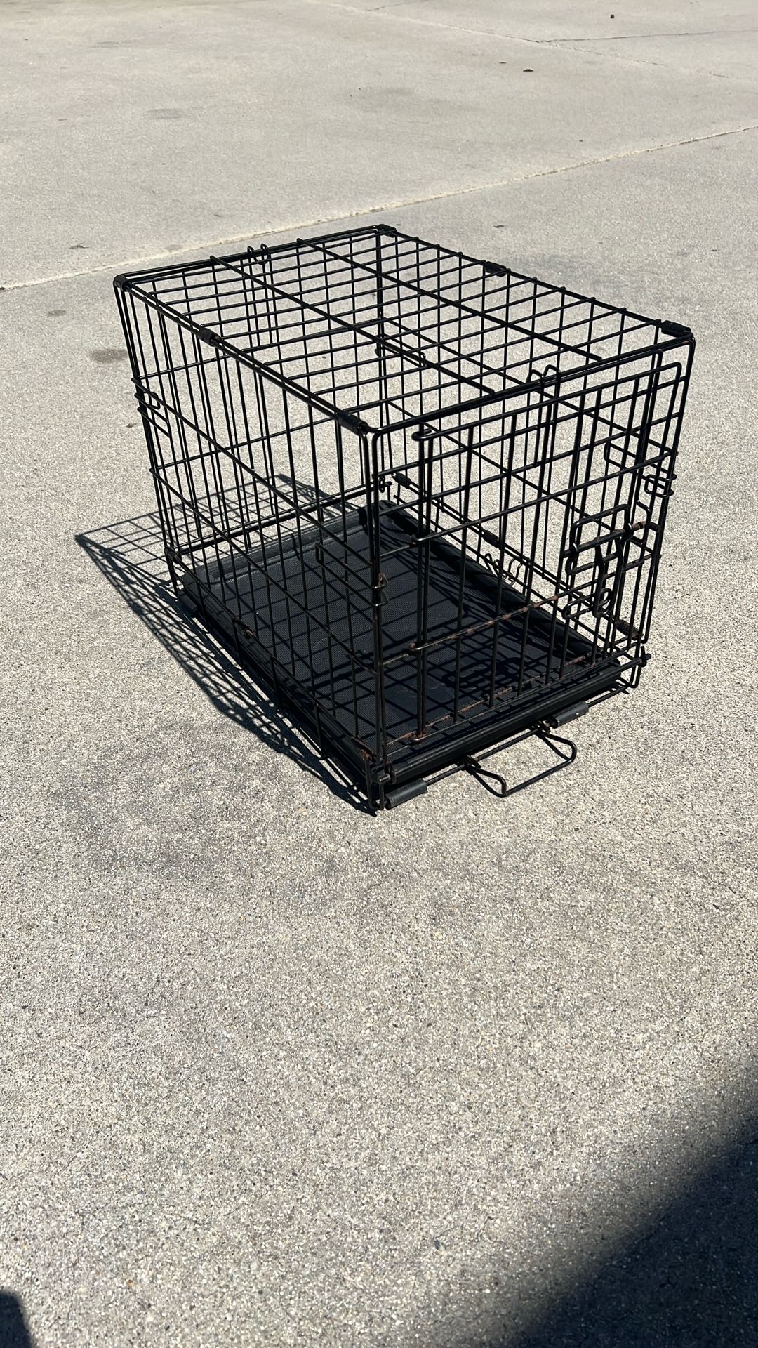 Kennel