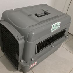 Kennel