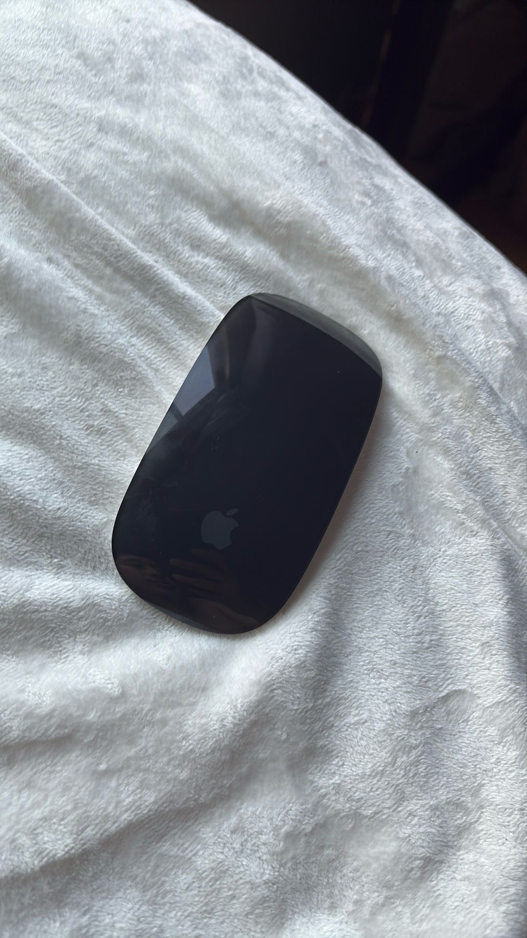 Black Apple Mouse
