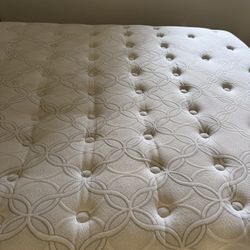 Queen Mattress 