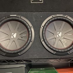 Two 12” Inch Subwoofer Kickers