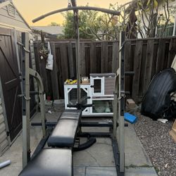 Nautilus Half Cahe With High And Low Pully Plus Bench 