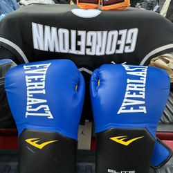 Everlast Boxing Glove Blue