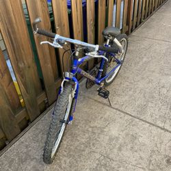 Quicksilver Pacific Bike