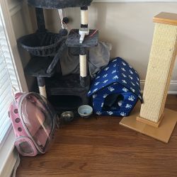Cat Accessories 