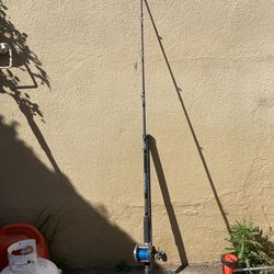 Fishing pole (with rod)