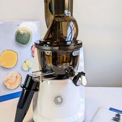 Extractor Royal Prestige 