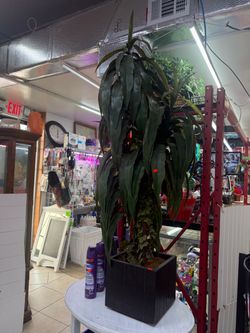 5-foot artificial tree